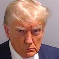 Trump Wall(@faagifts) 's Twitter Profile Photo