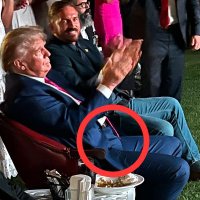 President Diaper (@presidentdiaper) 's Twitter Profile