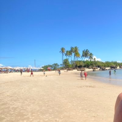 falocultor's profile picture. only men!!!!!! women or fake don't follow please