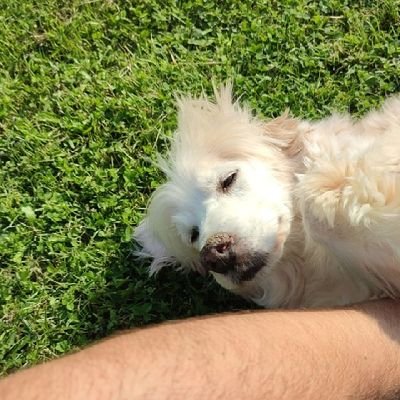 otixruX's profile picture. Me hice una cuenta personal para hablar de cosas que no sean el Compos👍🏻