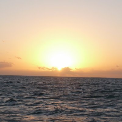 TonyMendez77542's profile picture. 