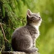 AbdullahIsmaa's profile picture. welcome