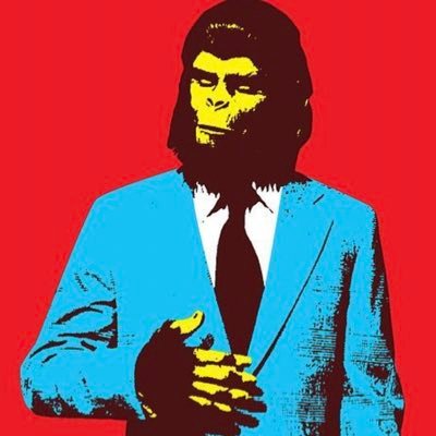 ginoalephotos's profile picture. P H O T O G R A P H E R   witness with a lens