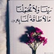 ام تولين (@amtwlyn656) Twitter profile photo