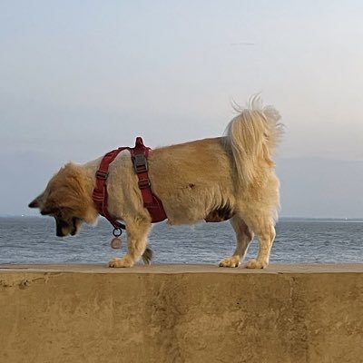 GaoShaun777's profile picture. be yourself