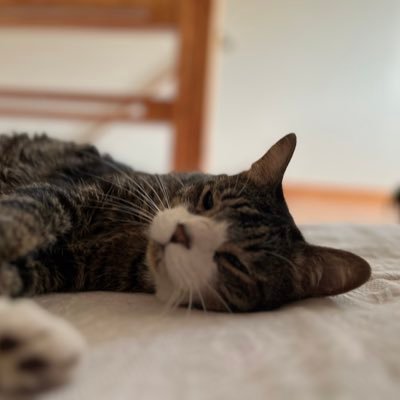 rienagatsuji's profile picture. 