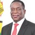 Emmerson Mnangagwa (@Makoti_03) Twitter profile photo