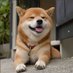 MEMEMillionaire (@bdmillionclub) Twitter profile photo MEMEMillionaire (@bdmillionclub) Twitter profile photo