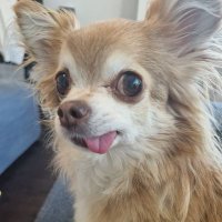 RJ (@robtegridy) 's Twitter Profile