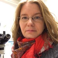Petra Korpisalo (@korpisalolab) 's Twitter Profile