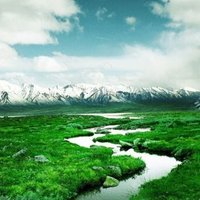 Tuyet Cotes❤️ Memecoin (@cotestuyet) 's Twitter Profile