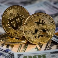 Cripto TOP X (@criptotopx) 's Twitter Profile