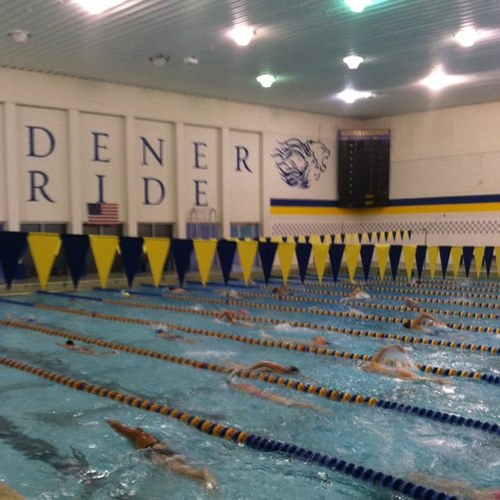 Head Swim Coach at Widener University