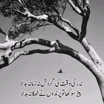 ars00786's profile picture. 