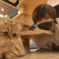 タケミチ 沖縄秘密基地 (@takemichi__oki) 's Twitter Profile Photo タケミチ 沖縄秘密基地 (@takemichi__oki) 's Twitter Profile Photo
