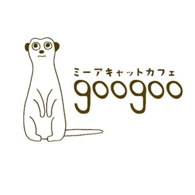 吉祥寺の井の頭公園口から徒歩１分☕️たくさんのミーアキャットさんと安心しと触れ合える、日本で初めてのミーアキャットさん専門のカフェ「googoo」です。

みーあおじさんのブログはこちら | https://t.co/njoa4353bh