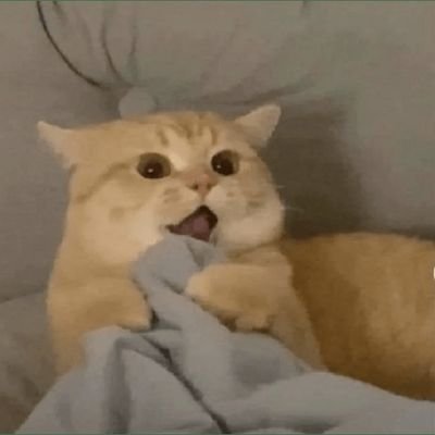 Zarathos_GG's profile picture. 