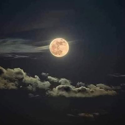 ghrwb89083's profile picture. في ضياء القمر شيء من ضياء الروح 🌔