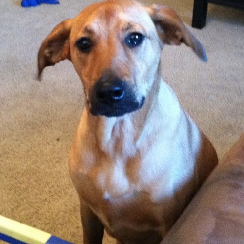 LadyCJ11's profile picture. 