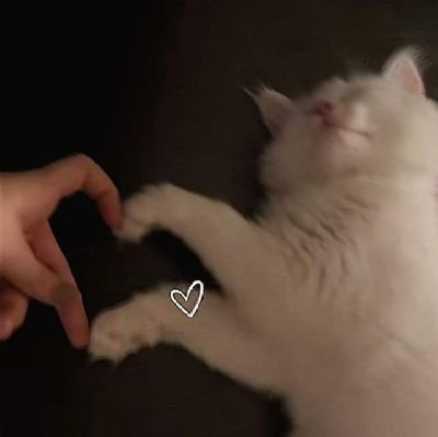 4/9♥
إن اللطف لا يحتاج إلى جُهد .. إنما يحتاج قلب ♥️🌑.