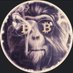 ๐hill_Pill (@shill_pill) Twitter profile photo ๐hill_Pill (@shill_pill) Twitter profile photo