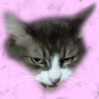 DilesQueNoMeGraben (@quenomegraben) 's Twitter Profile Photo DilesQueNoMeGraben (@quenomegraben) 's Twitter Profile Photo