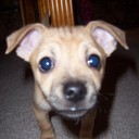 Greg Bledsoe - @burpexcuseme - Twitter