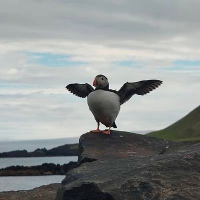 Liebt Hunde, Katzen, Otter, Island🇦🇽, Irland🇮🇪, unsere Berge und Käse.
 #SwissCovidFail #listentothescience  #ClimateCrisis
https://t.co/jeOyMr8wHm