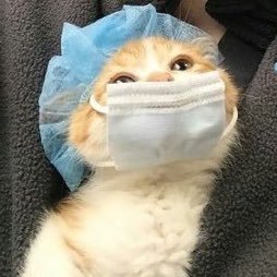 polydong's profile picture. ❤️ 🐹🐣🐵