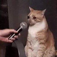 mino 🍊🍉 (@mino1920) 's Twitter Profile