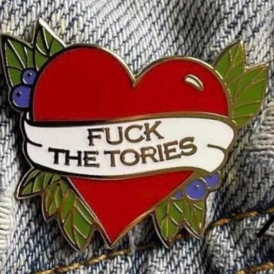 Ex Labour, Former Zero hours worker, single Mum, Retail worker, Universal Credit claimant, Socialist, love animals. 🟨🟥