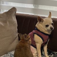 ジャッキー (@jackiemilk) 's Twitter Profile