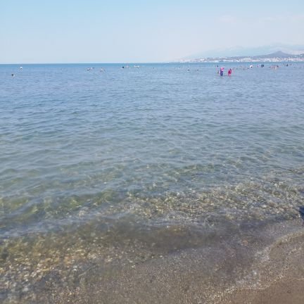 kimyaaa03's profile picture. 