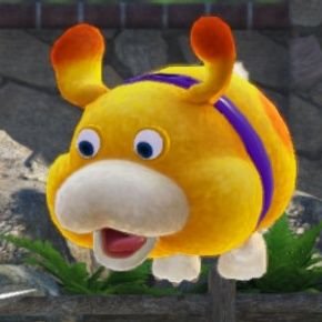 カッパのちょーさんのプロフィール画像