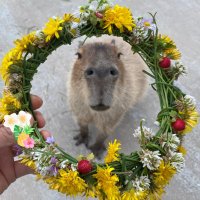 ハーベストの丘【動物専用】(@harvest_animal) 's Twitter Profile Photo