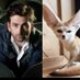 Daily David Tennant as a Fennec Fox (@fennecfoxdavid) Twitter profile photo