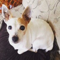 Sonia Hanrahan (@sonia_hanrahan) 's Twitter Profile Photo Sonia Hanrahan (@sonia_hanrahan) 's Twitter Profile Photo