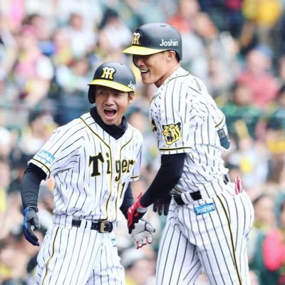 虎党🐯　現地3戦3勝　ワンピースカード