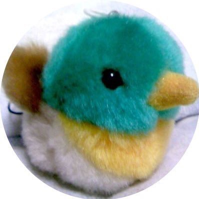 heroore's profile picture. 節操なし おたくアカウント