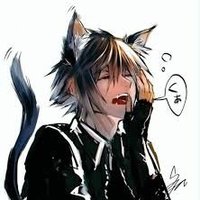 Cattydoc (@catydocf) 's Twitter Profile