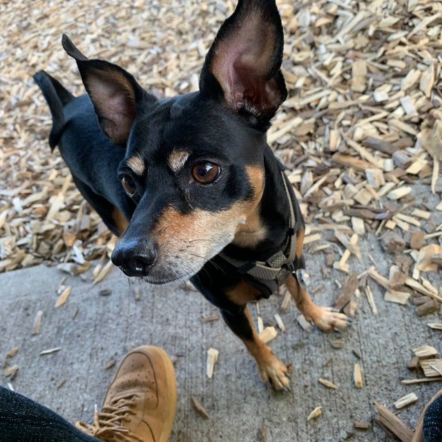 CynthiaMce97800's profile picture. 