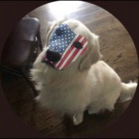 Chiefjimmy45(@chiefjimmy45) 's Twitter Profile Photo