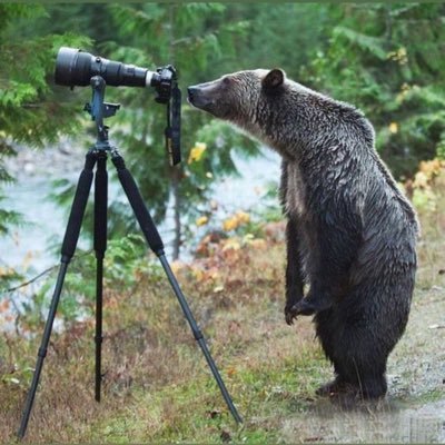 an observer of politics, law,weather..  “bears watching”