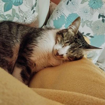 raqueluz27's profile picture. 