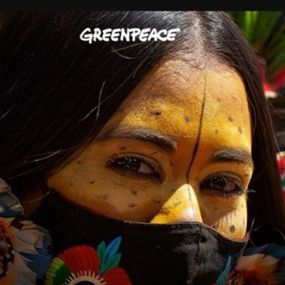 nucl_ecologico's profile picture. INOVAR, DESENVOLVER E SUSTENTAR