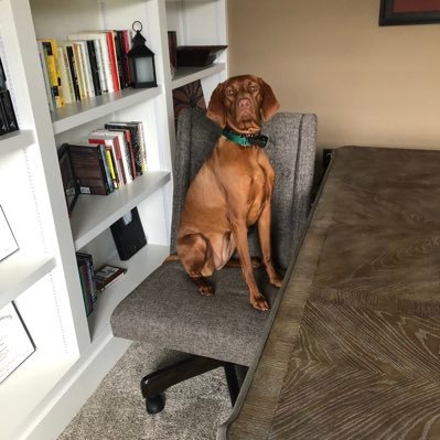 nuggetnectar007's profile picture. 