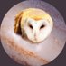 Christopher Mark Rose (@cchrisrose) Twitter profile photo Christopher Mark Rose (@cchrisrose) Twitter profile photo