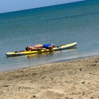 S̶t̶e̶p̶h̶e̶n̶ Steven Anderson (@sdauk) 's Twitter Profile