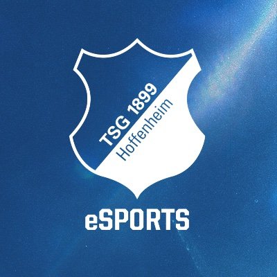 tsg_esport Profile Picture