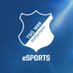 TSG Hoffenheim eSPORTS (@tsg_esport) Twitter profile photo